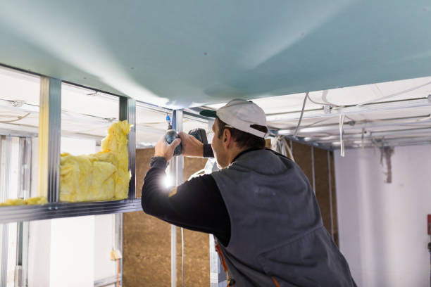 Best Eco-Friendly or Green Insulation Solutions  in East Grand Rapids, MI