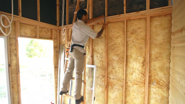 Best Spray Foam Insulation  in East Grand Rapids, MI