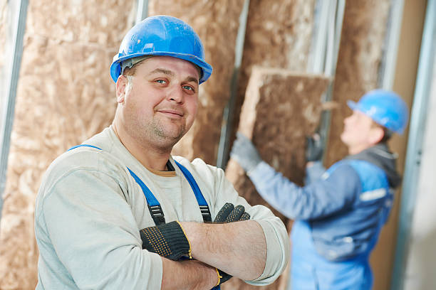 Best Attic Insulation Installation  in East Grand Rapids, MI